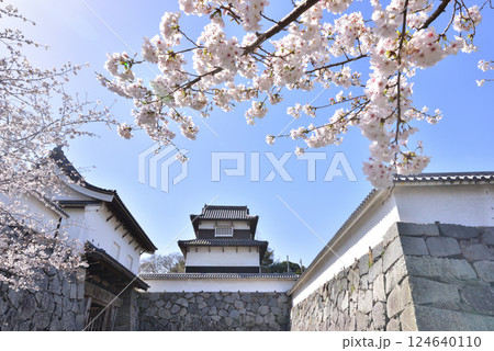 春の福岡城　下之橋御門　潮見櫓　福岡市中央区舞鶴公園　 124640110