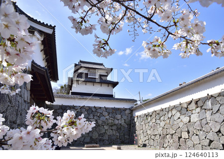 春の福岡城　下之橋御門　潮見櫓　福岡市中央区舞鶴公園　 124640113