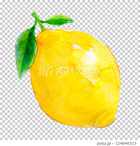 水彩イラスト　国産の新鮮なレモン 124640313