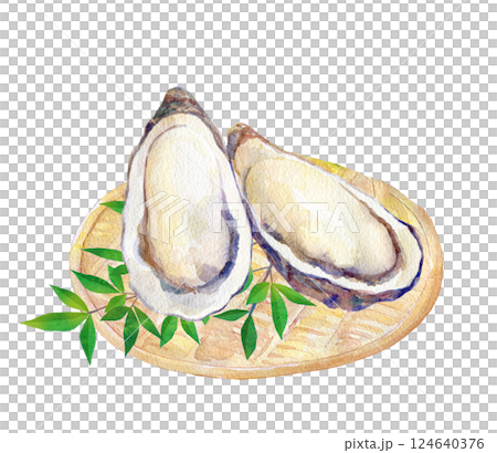 Watercolor illustration: Fresh oysters Watercolor illustration: Fresh oysters 124640376