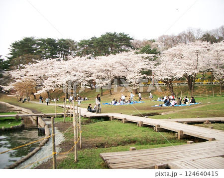 盛岡高松公園の高松の池の神庭山側の広場(岩手県盛岡市) 盛岡高松公園の高松の池の神庭山側の広場(岩手県盛岡市) 124640415