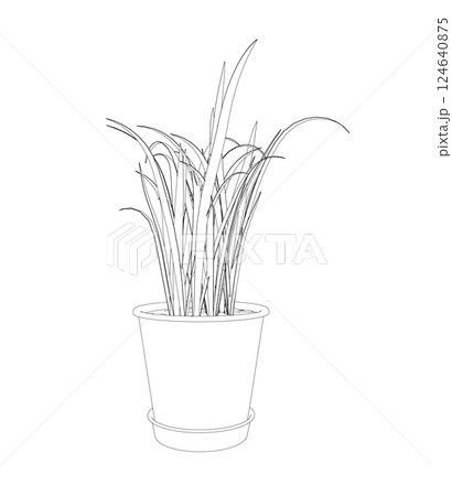 Plant in flower pot outline. Line, solid and filled outline version, outline and filled vector sign. Home plant symbol. Flowers in pots painted black line on a white background. Vector drawing lines 124640875