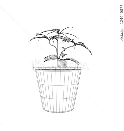 Plant in flower pot wireframe. Line wireframe version, outline and filled vector sign. Home plant symbol. Flowers in pots painted black line on a white background. Vector drawing lines 124640877