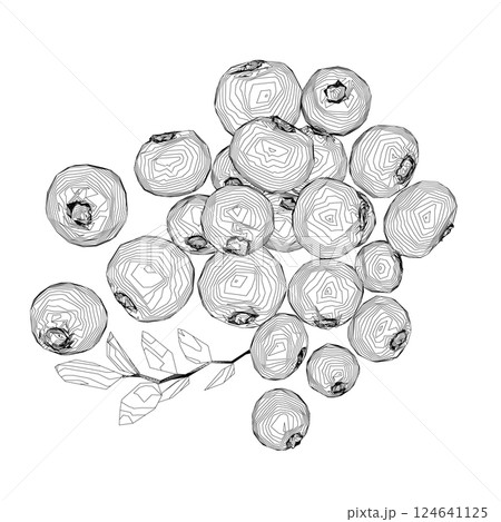 Outline Vector Blueberry black and white engraved ink art. Berries and leaves. Isolated contour blueberry illustration element. Vector raw blueberry. Ripe fruits full of nutrition and vitamins 124641125