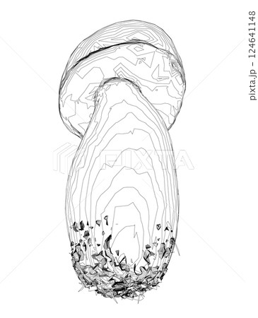 Outline champignon mushrooms Vector illustration drawn, toadstool, fly agaric, white toadstool, contour mushrooms isolated on a white background. Vector icon illustration of mushroom champignon. 124641148