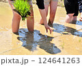 田植えをする子供 124641263