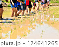 田植えをする子供 124641265