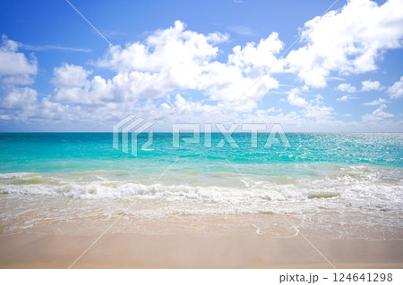 ハワイ ワイマナロビーチ ハワイ ワイマナロビーチ 124641298