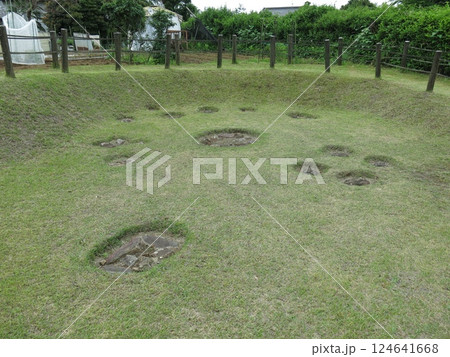 日高市の高麗村石器時代住居跡 124641668