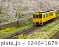 桜並木と電車 124641679