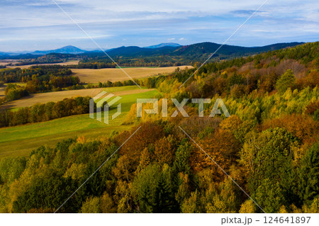 Autumn hilly landscape with colored trees 124641897