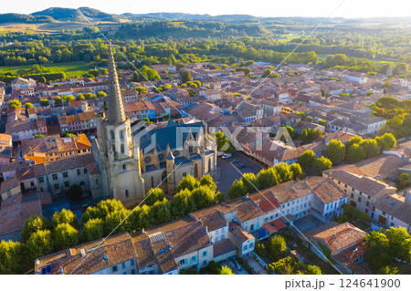 Aerial view of Mirepoix town overlooking Cathedral, France 124641900