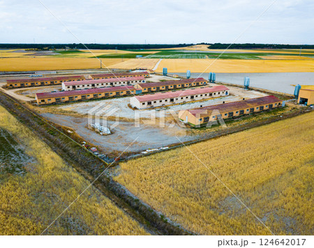 Aerial view of modern pig farm Aerial view of modern pig farm 124642017
