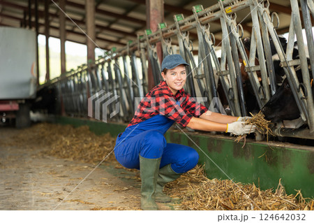 Young woman feeding cows hay on farm 124642032