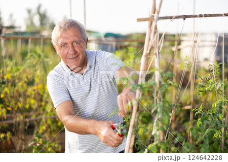 Senior man is working in garden between beds Senior man is working in garden between beds 124642228