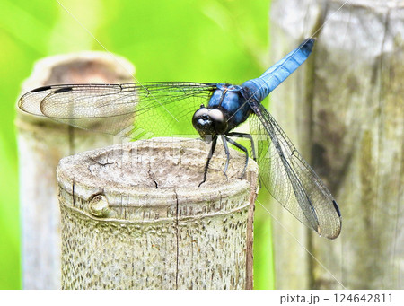 一休み！ 124642811