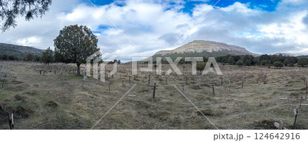 Tranquil Cemetery Landscape with Mountainous Backdrop, Sad Hill 124642916