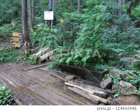 日高市の日和田山登山道にある水場（男坂登り口） 124642946