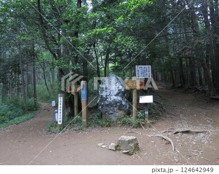 日高市の日和田山登山道（一の鳥居付近にある男坂と女坂の分岐） 124642949