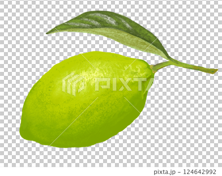 檸檬（含枝葉） 淺綠色 124642992