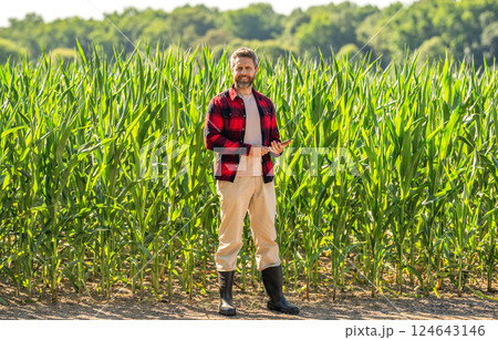Hispanic farmer with tablet check harvest. Crop harvest. Farmer agronomist man with tablet in cornfield. Technology of modern agriculture. Farmer man working on field with tablet 124643146