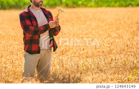 Hispanic man farmer check agriculture field harvest. Man agronomist farmer. Crop protection. Agriculture farm. Farm man at wheat field. Crop harvest and farming. Farmer in field, cropped view 124643149