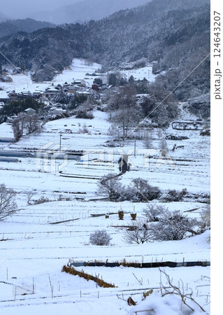 明日香村　稲渕の棚田　雪景色 124643207