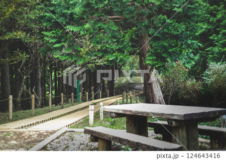 山登り 124643416