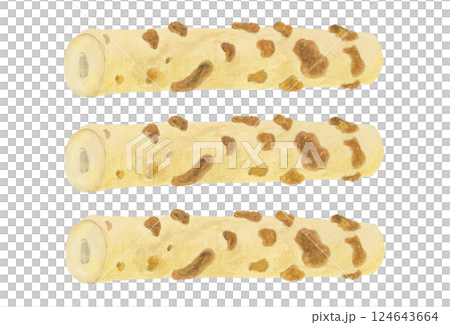 Illustration of grilled chikuwa drawn by watercolor 124643664