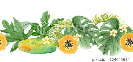 Papaya, monstera leaf tropical foliage, flowers watercolor seamless border isolated on white. Hand drawn illustration perfect for cards, banners, tape, textile, stationary design. Exotic plant clipart 124643684