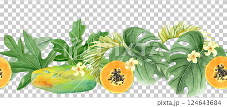 Papaya, monstera leaf tropical foliage, flowers watercolor seamless border isolated on white. Hand drawn illustration perfect for cards, banners, tape, textile, stationary design. Exotic plant clipart Papaya, monstera leaf tropical foliage, flowers watercolor seamless border isolated on white. Hand drawn illustration perfect for cards, banners, tape, textile, stationary design. Exotic plant clipart 124643684