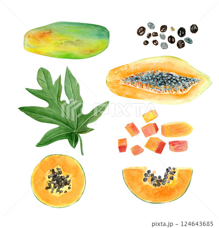Papaya slice, cubes, seeds, leaf, whole and half watercolor illustration set isolated on white. The hand-painted tropical fruit clip art is perfect for culinary designs, labels, cards, packages menu 124643685