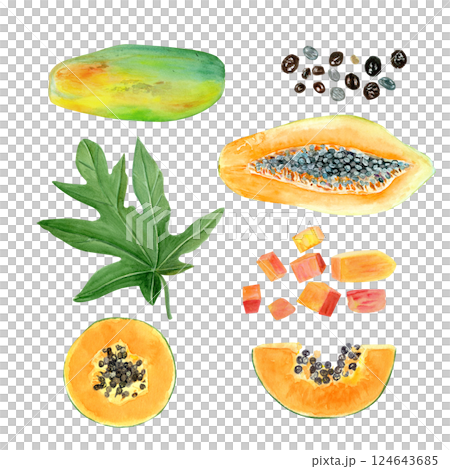 Papaya slice, cubes, seeds, leaf, whole and half watercolor illustration set isolated on white. The hand-painted tropical fruit clip art is perfect for culinary designs, labels, cards, packages menu 124643685