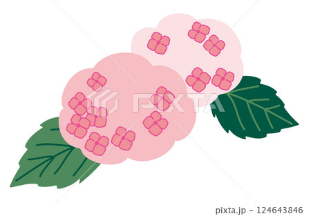 紫陽花のイラスト素材・カラー 124643846