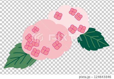 紫陽花のイラスト素材・カラー 124643846