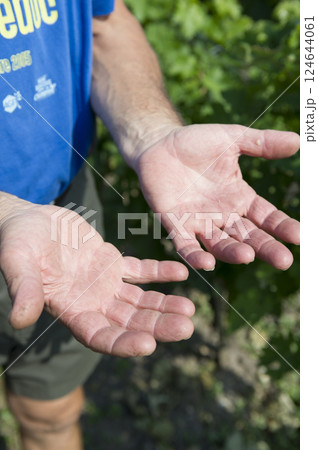 職人の手 124644061