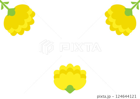 かわいいカーネーションのシームレスパターン かわいいカーネーションのシームレスパターン 124644121