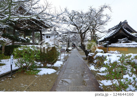 明日香村　橘寺　雪景色 124644160