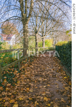 Path is lined with trees and leaves 124644579