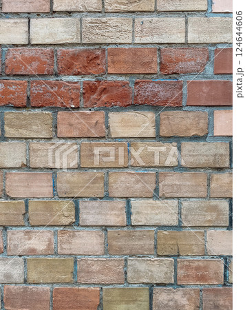 Brick wall with a red brick in the middle Brick wall with a red brick in the middle 124644606