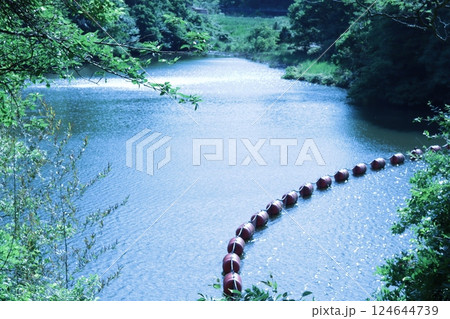 陽光にキラキラ輝く新緑のダム湖 124644739
