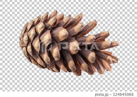 Cedar cone isolated on transparent background. AI-generated item Cedar cone isolated on transparent background. AI-generated item 124645068