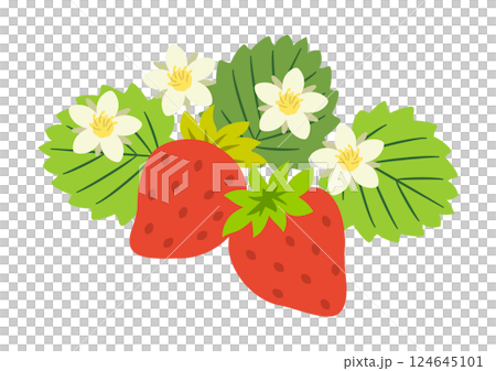 兩顆帶葉子和花的草莓 124645101