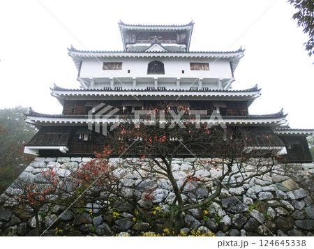 岩国城の天守閣(復興)(山口県岩国市) 岩国城の天守閣(復興)(山口県岩国市) 124645338