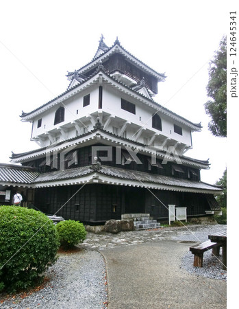 岩国城の天守閣(復興)(山口県岩国市) 岩国城の天守閣(復興)(山口県岩国市) 124645341