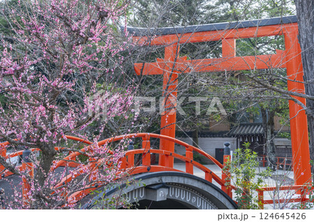 京都　下鴨神社　光琳の梅と朱塗りの輪橋 124645426