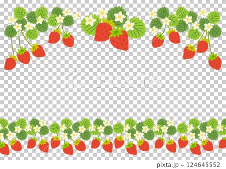 草莓框架_頂部和底部 124645552