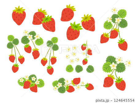 いちごのイラスト素材セット 124645554