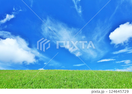 爽やかな夏の青空と新緑の草原風景 124645729