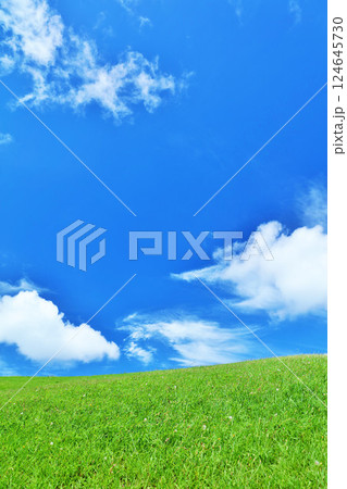 爽やかな夏の青空と新緑の草原風景 爽やかな夏の青空と新緑の草原風景 124645730